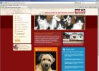 Dierenbescherming
